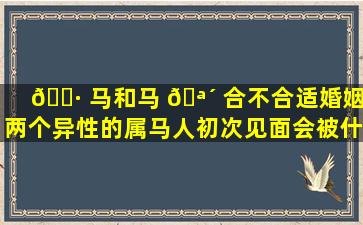 🕷 马和马 🪴 合不合适婚姻(两个异性的属马人初次见面会被什么吸引)